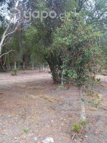 Venta de Parcela - Chillan, Region - Ñuble - Imagen 11