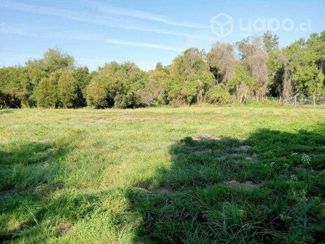Venta de Parcela - Chillan, Region - Ñuble - Imagen 9