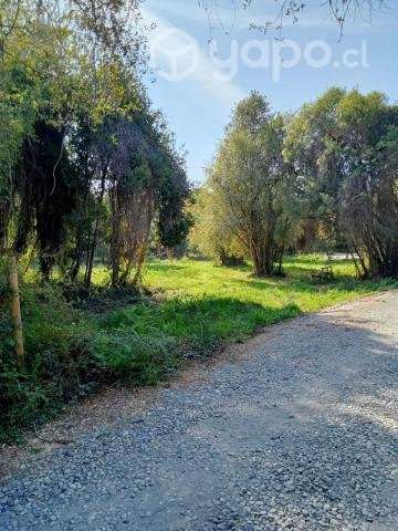 Venta de Parcela - Chillan, Region - Ñuble - Imagen 5