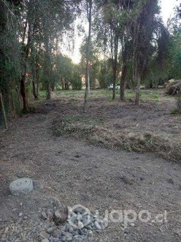 Venta de Parcela - Chillan, Region - Ñuble - Imagen 10