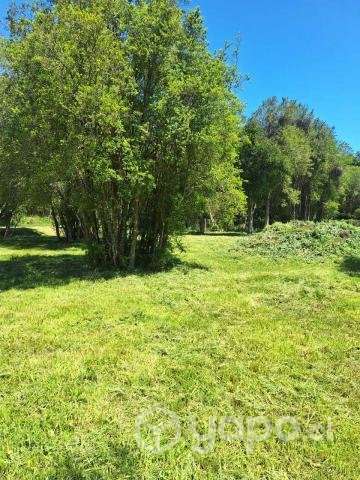Venta de Parcela - Chillan, Region - Ñuble - Imagen 6