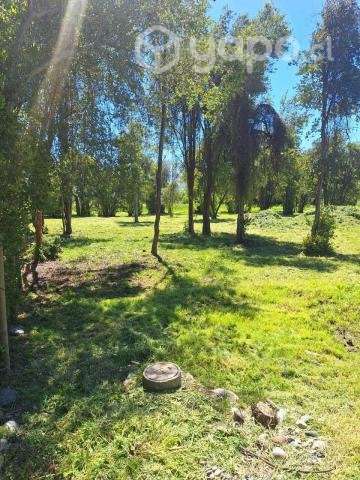 Venta de Parcela - Chillan, Region - Ñuble - Imagen 7