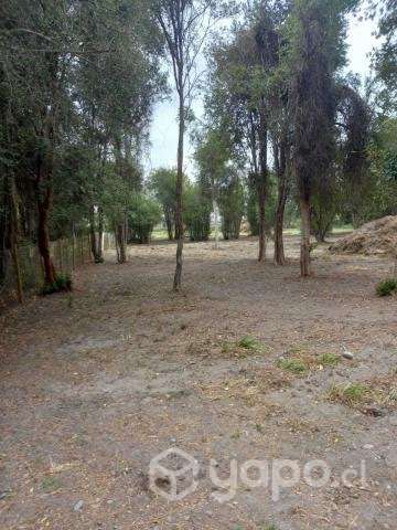 Venta de Parcela - Chillan, Region - Ñuble - Imagen 13