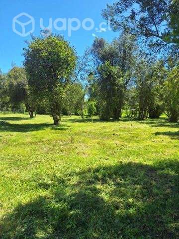 Venta de Parcela - Chillan, Region - Ñuble - Imagen 8