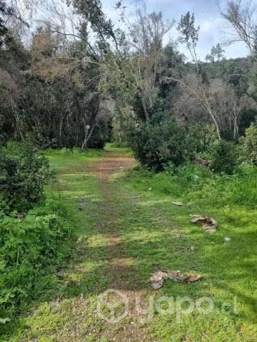 Se vende parcela laguna aculeo,paine, r.m - Imagen 2