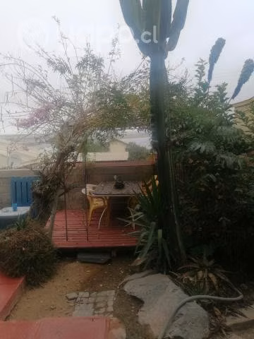 Arriendo en Tongoy