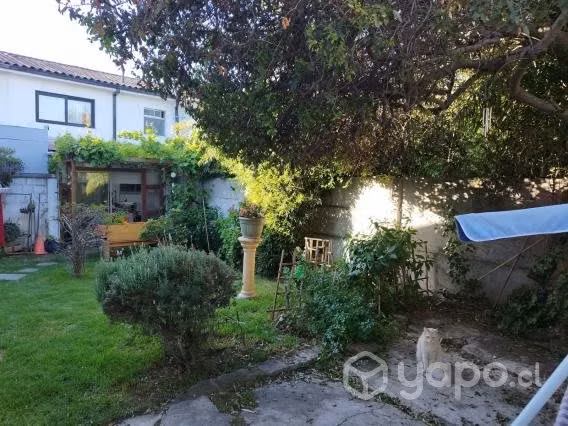 Casa En Condominio, Viña Centro, 4d+3b, Patio Y Te