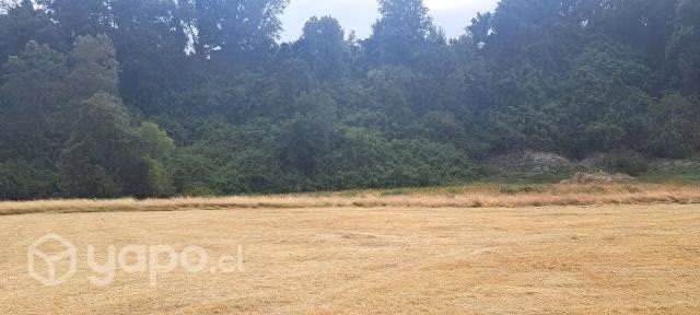 Venta parcela comuna Los Lagos sector Folilco
