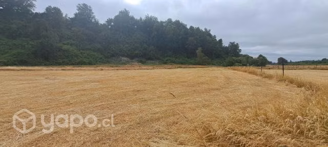 Venta parcela comuna Los Lagos sector Folilco