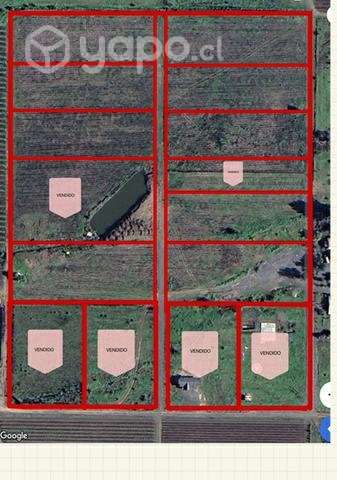 Terreno 5000 mt2 Santa Cruz - Imagen 6