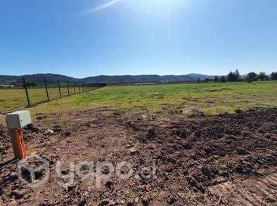 Terreno 5000 mt2 Santa Cruz - Imagen 3