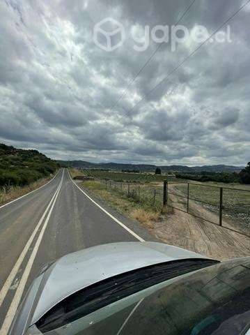 Terreno 5000 mt2 Santa Cruz - Imagen 4