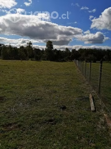 Parcela 5000 m² en Colegual Esperanza