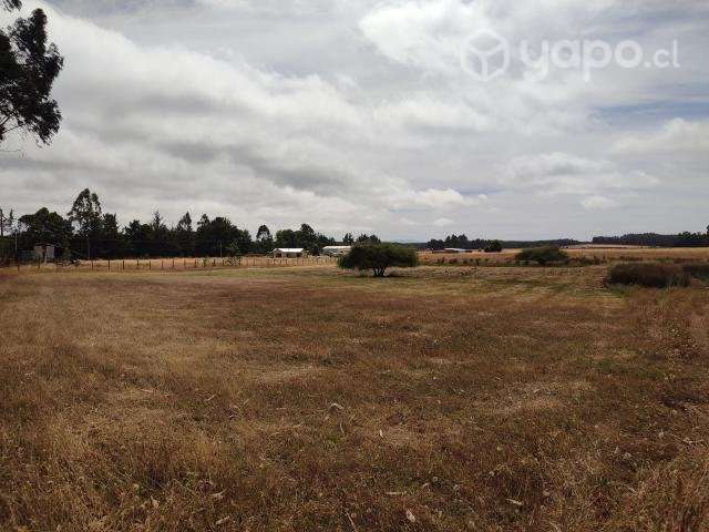 Terreno Nueva imperial