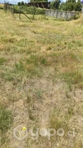 Vendo sitio urbanizado Pitrufquen