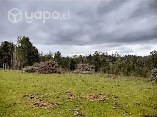 Terreno 9,9 hectáreas …