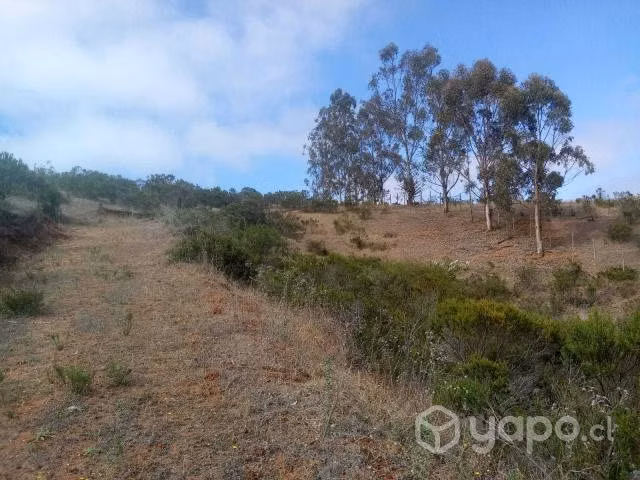 Venta parcela - Imagen 4