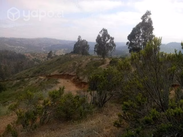 Venta parcela - Imagen 3