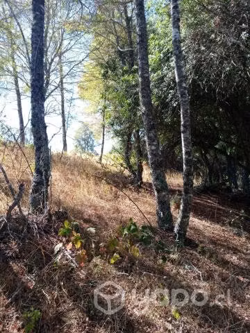 Parcela de 7, 7 hectareas en precordillera