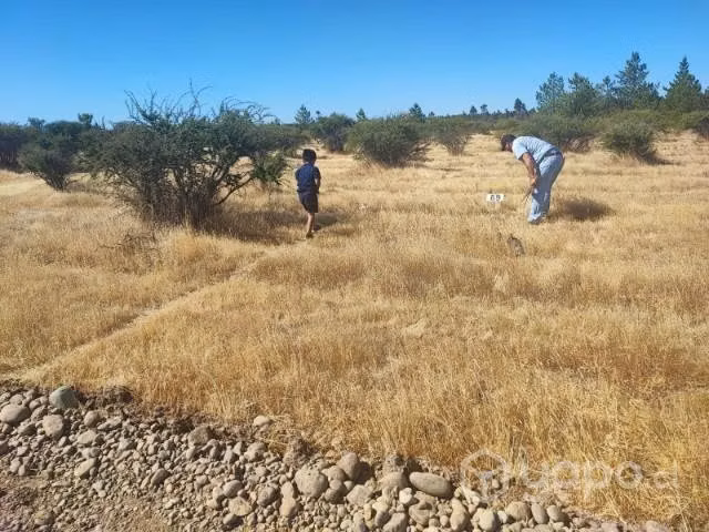 Parcela de 5.000m2