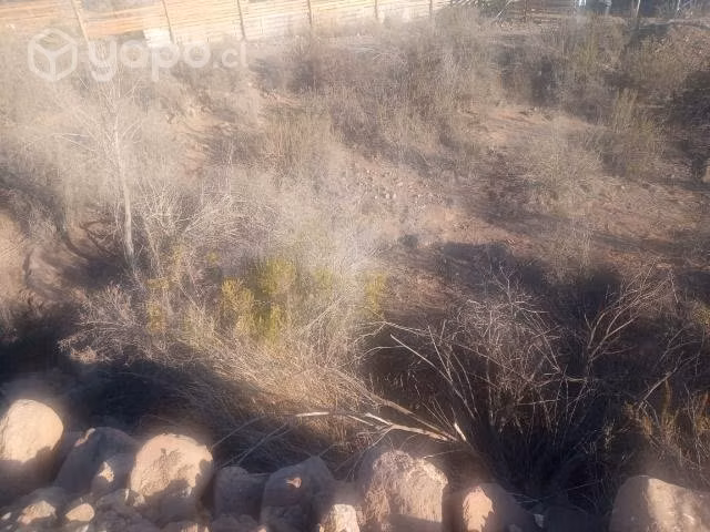 Terreno 5.000 mts2
