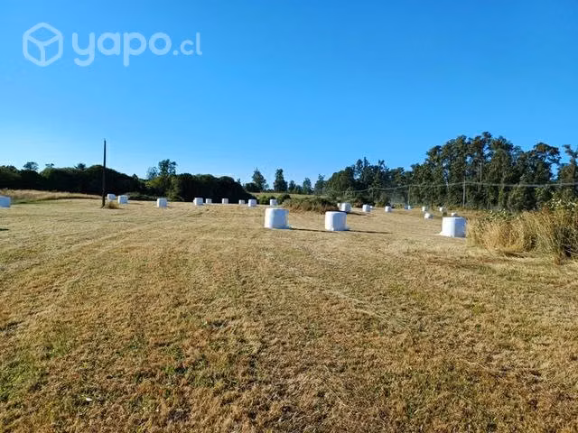 Parcela km 15 Osorno- pto octay