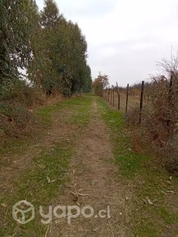 Vendo Parcela en San José de Peñuelas Placilla