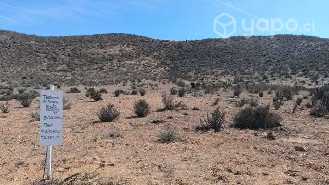 Terreno