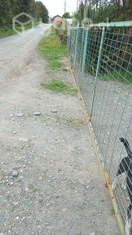 Se vende casa en campo - Imagen 3