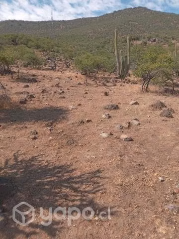 Parcela 6300 m2 Chacayes a 58 minutos de Rancagua