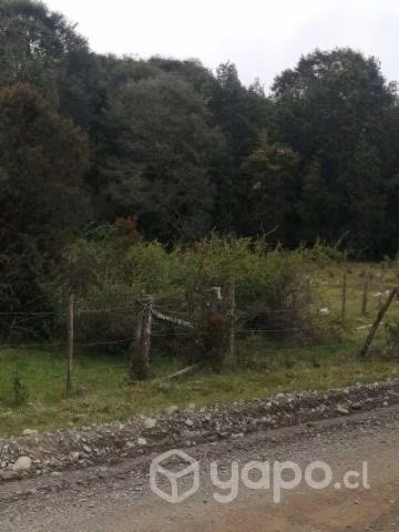 Campo 36 hectareas