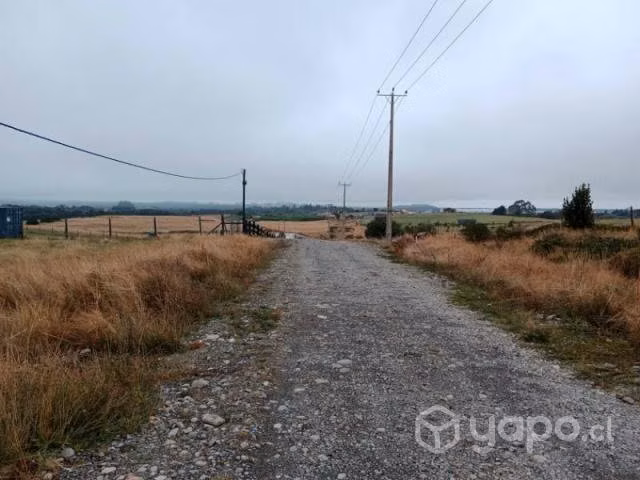 Camino alerce … - Imagen 8