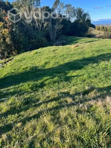 Se vende terreno en sector Putenio, calbuco - Imagen 5