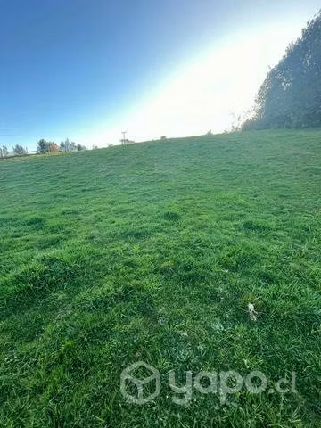 Se vende terreno en sector Putenio, calbuco - Imagen 6