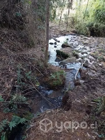 Terreno 2 hectáreas
