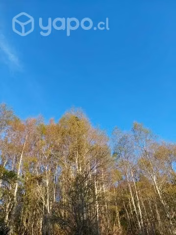 Terreno 2 hectáreas