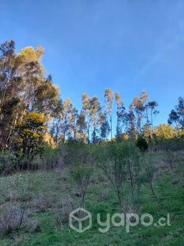 Terreno 2 hectáreas