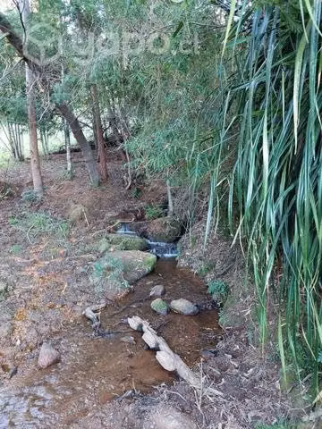 Terreno 2 hectáreas