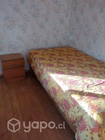 ARRIENDO CABAÑA EN VALDIVlA, NIEBLA. playa grande