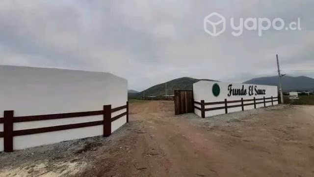 Terreno en fundo el sauce / terreno plano y rol