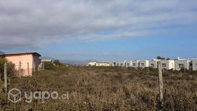 Se Vende Terreno en Los Molles 2.500 m2