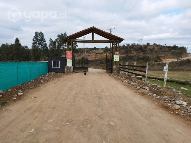Alto de Queri