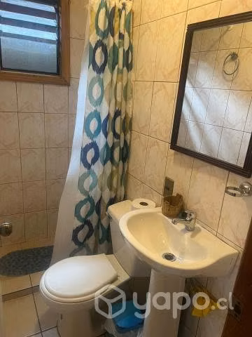Arriendo cabaña en valdivia 2 a 3 personas