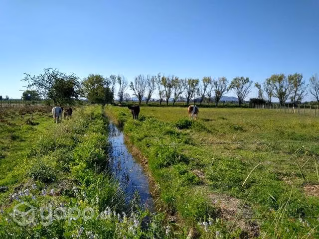 Parcela en perelillo