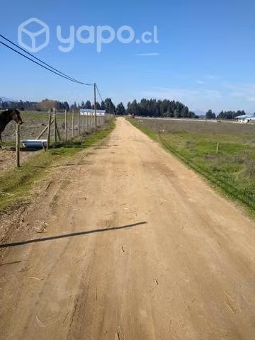 Parcela en perelillo