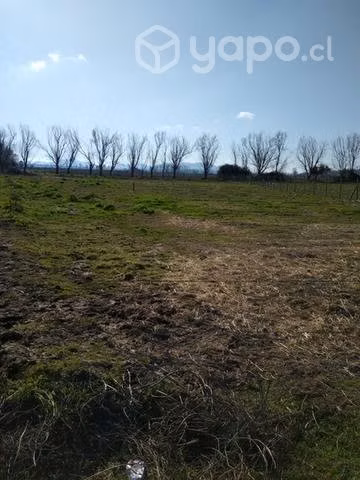 Parcela en perelillo