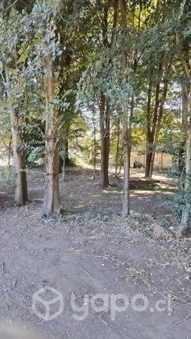Arriendo espacio comercial