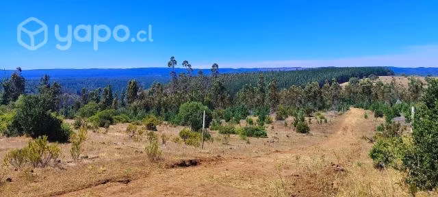 Terreno en venta en pichilemu, 5000 m2 rol propio