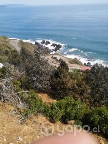 Vendo 5000m2 - Imagen 3