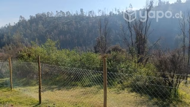 Parcela 5000m2 Las Cabras
